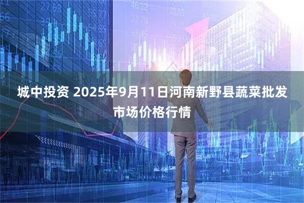 城中投资 2025年9月11日河南新野县蔬菜批发市场价格行情