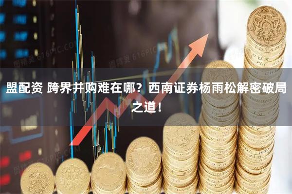 盟配资 跨界并购难在哪？西南证券杨雨松解密破局之道！